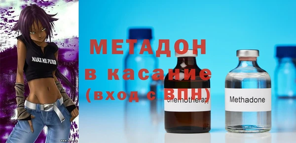 индика Арсеньев