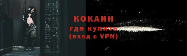 индика Арсеньев