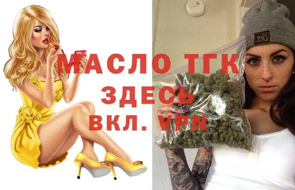 индика Арсеньев